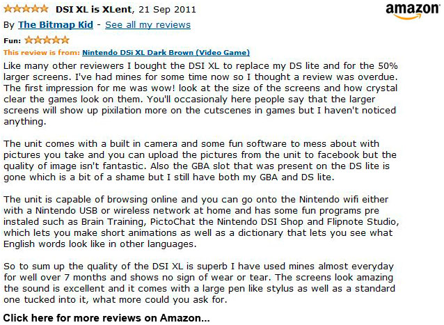 Brown Nintendo DSi XL Review